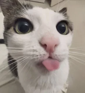 😛