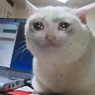 😓