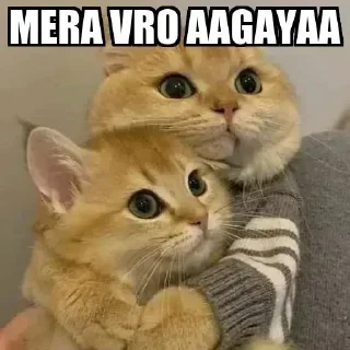 😗