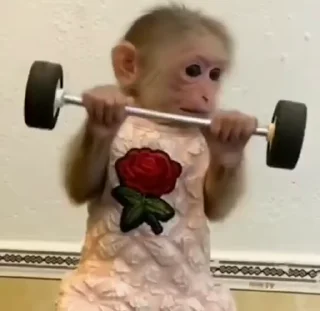 💪
