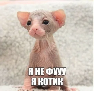 🥺