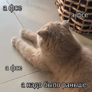 😒