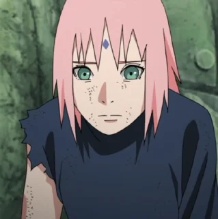 🌸