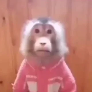 🤩