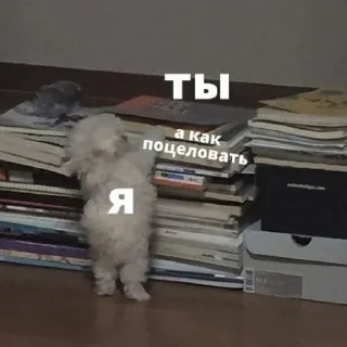 ❤️