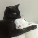 ❣