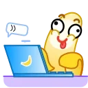 👨‍💻