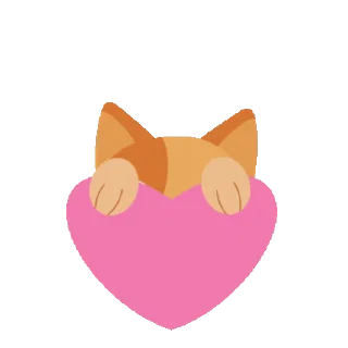 😻