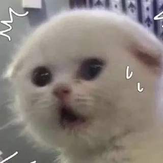 😰