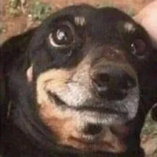 😍