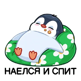 😴
