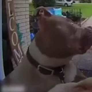 🤨