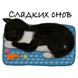 😴