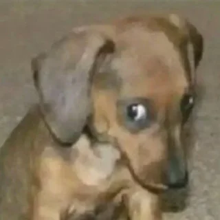 😲