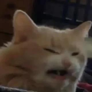 😕