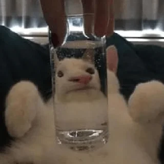 🫥