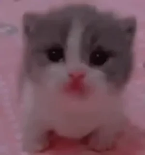 😨