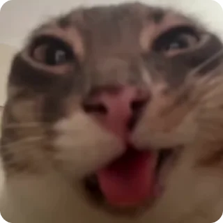 🧏‍♀️