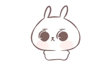 🐼