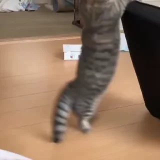 🧶