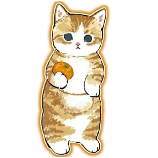 🐱