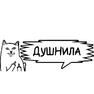 🐱