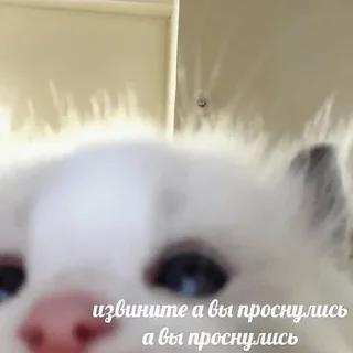 🤨