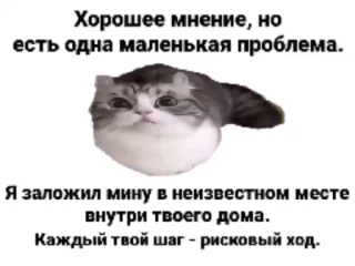 👌
