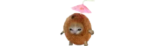 🥥