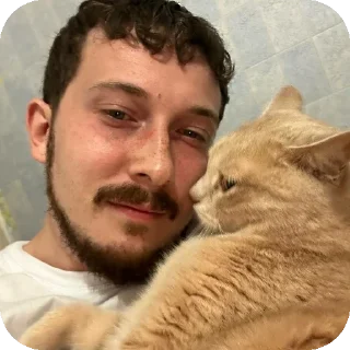 🐱