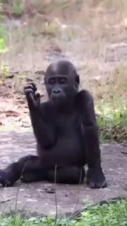 😌