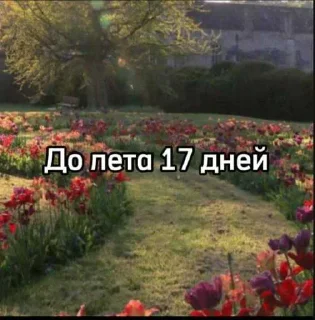 ☀️
