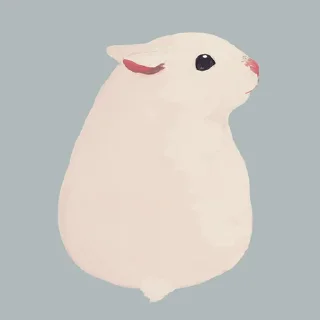 🐹