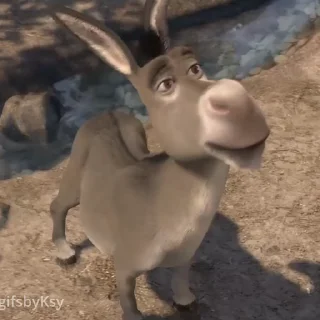 ❌