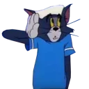 🐈