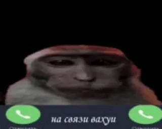 😶