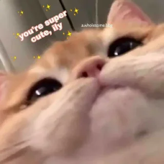 😍