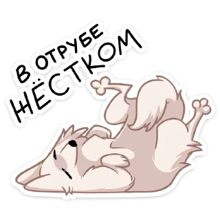 😴
