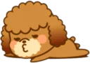🐶