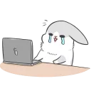 💻