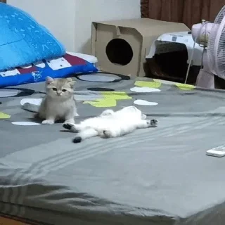 💗