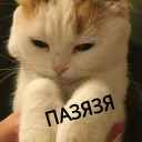 😔