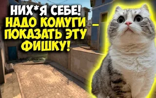 😱
