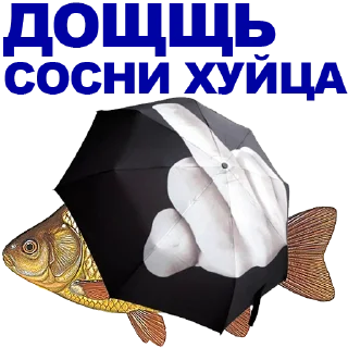 🐠