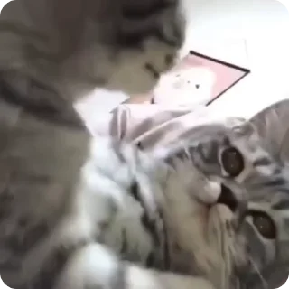 😘