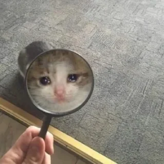 🥺
