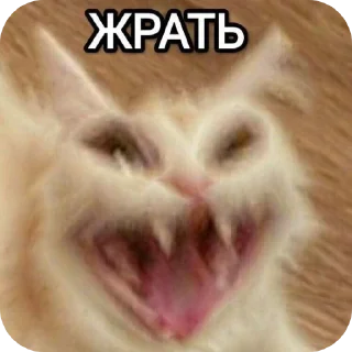 😈
