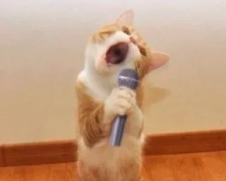 🎤