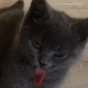 😝