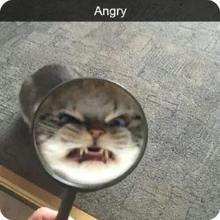 😡